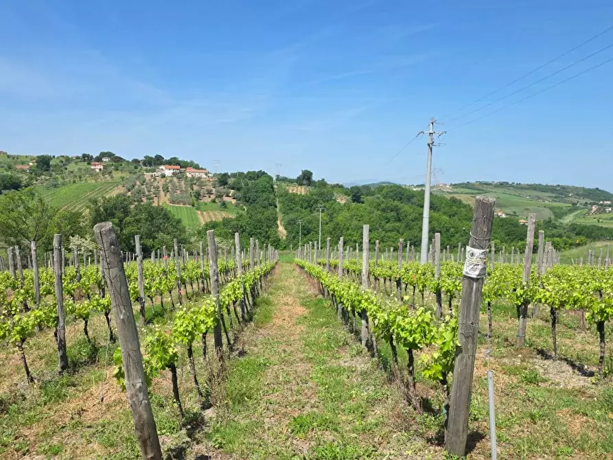 Immagine 1 di Terreno agricolo in vendita  in Candriano a Torella Dei Lombardi