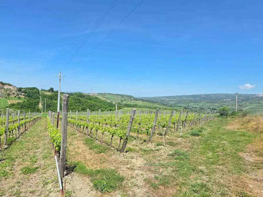 Immagine 3 di Terreno agricolo in vendita  in Candriano a Torella Dei Lombardi