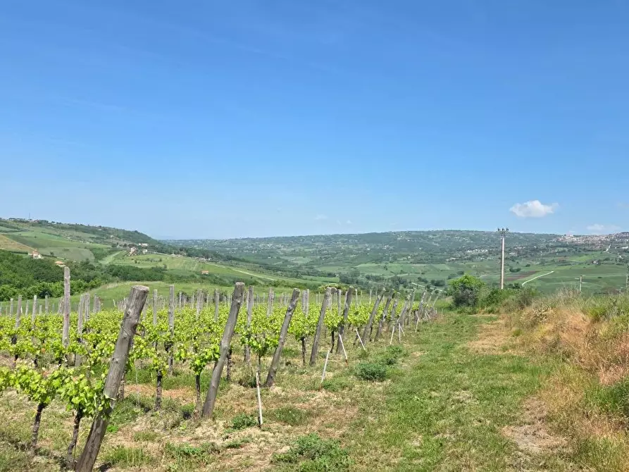 Immagine 4 di Terreno agricolo in vendita  in Candriano a Torella Dei Lombardi