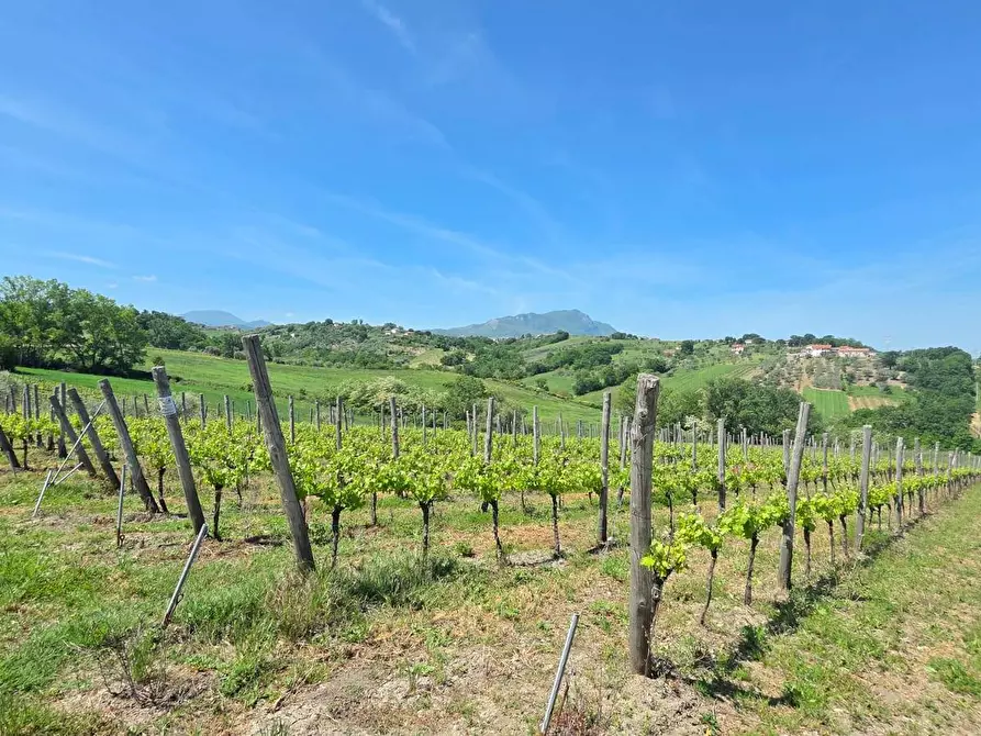 Immagine 5 di Terreno agricolo in vendita  in Candriano a Torella Dei Lombardi