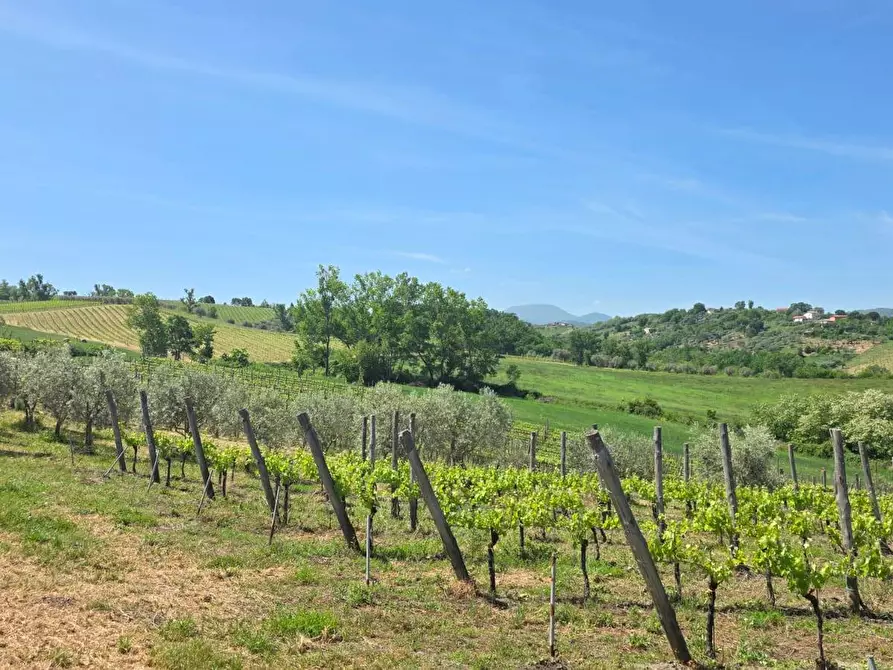 Immagine 6 di Terreno agricolo in vendita  in Candriano a Torella Dei Lombardi