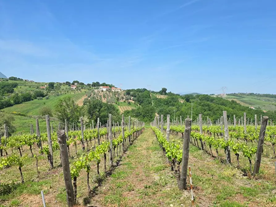 Immagine 7 di Terreno agricolo in vendita  in Candriano a Torella Dei Lombardi