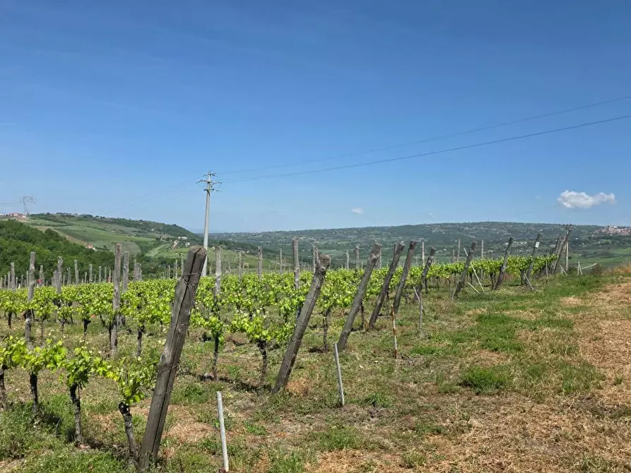 Immagine 8 di Terreno agricolo in vendita  in Candriano a Torella Dei Lombardi