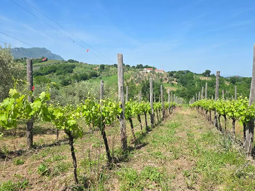 Immagine 9 di Terreno agricolo in vendita  in Candriano a Torella Dei Lombardi