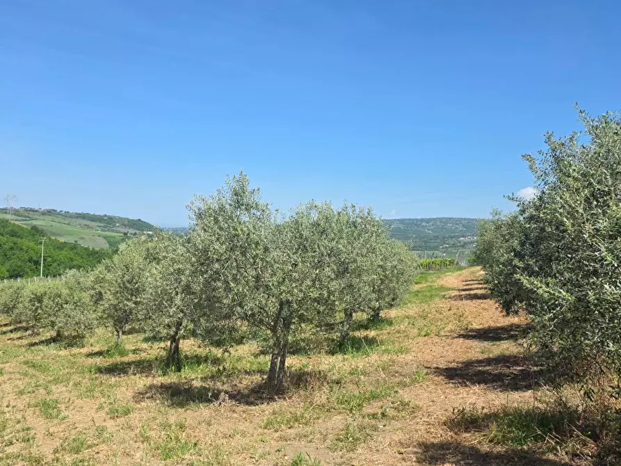 Immagine 10 di Terreno agricolo in vendita  in Candriano a Torella Dei Lombardi