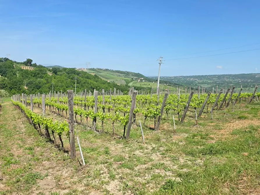 Immagine 11 di Terreno agricolo in vendita  in Candriano a Torella Dei Lombardi