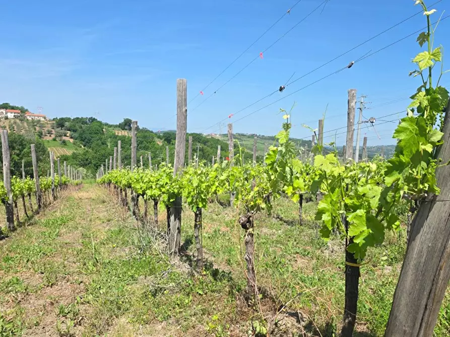 Immagine 12 di Terreno agricolo in vendita  in Candriano a Torella Dei Lombardi