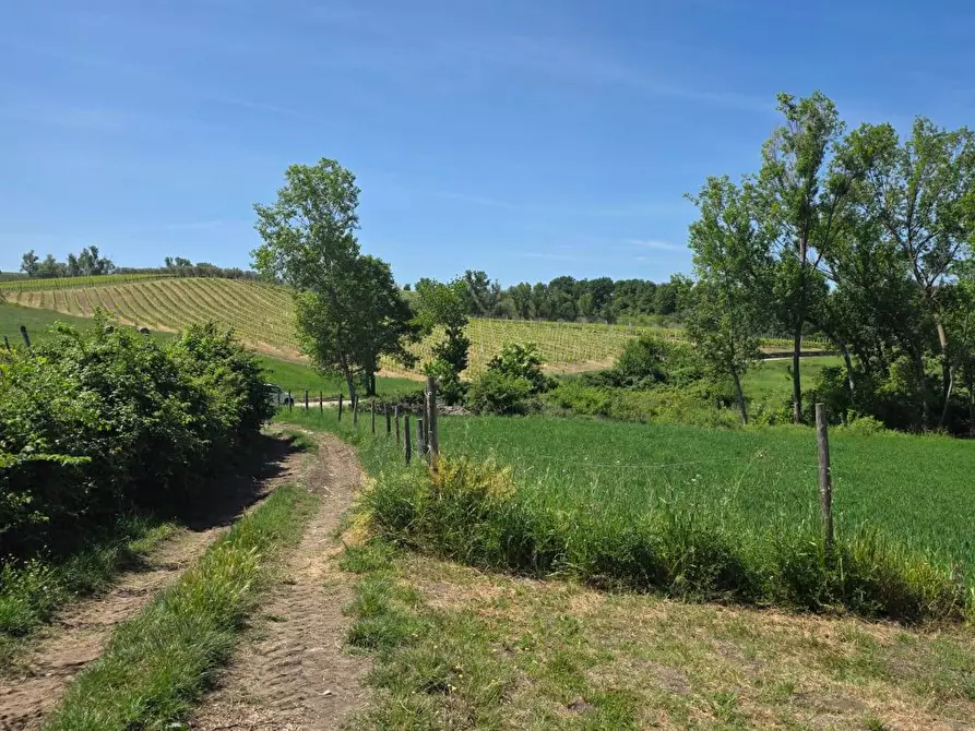 Immagine 13 di Terreno agricolo in vendita  in Candriano a Torella Dei Lombardi