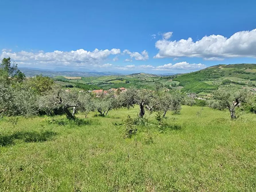 Immagine 2 di Terreno agricolo in vendita  a Andretta