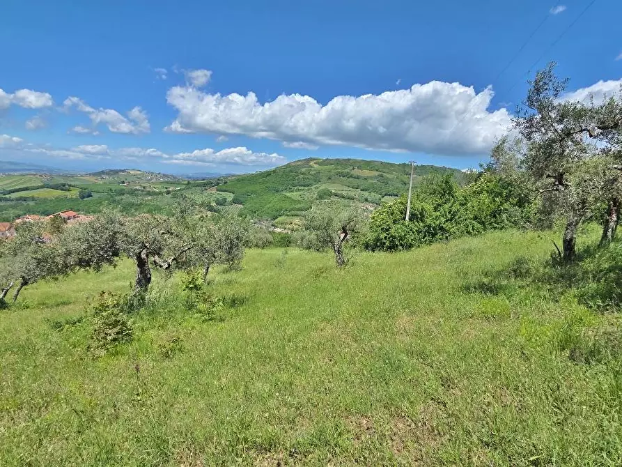 Immagine 3 di Terreno agricolo in vendita  a Andretta