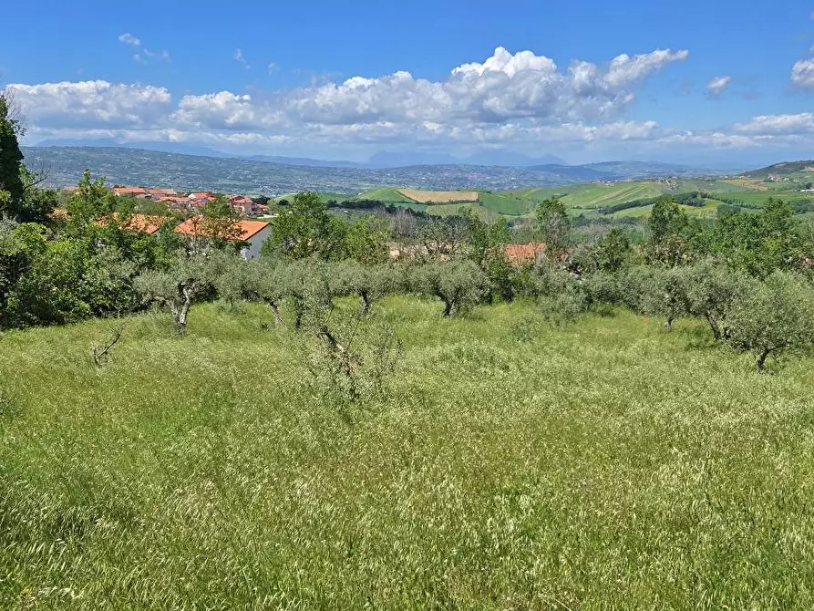 Immagine 5 di Terreno agricolo in vendita  a Andretta
