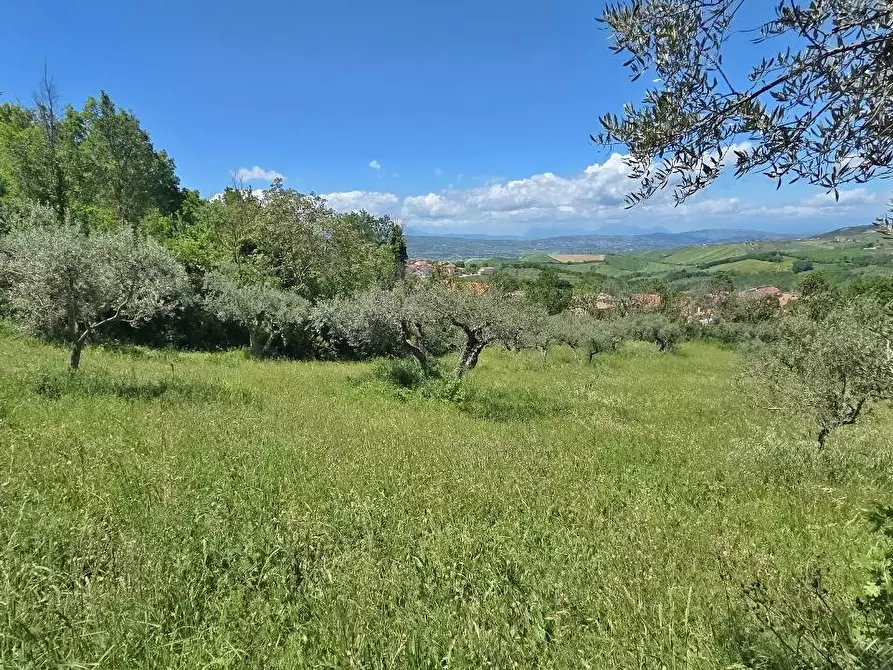 Immagine 6 di Terreno agricolo in vendita  a Andretta