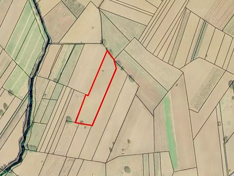 Immagine 1 di Terreno agricolo in vendita  in Molara a Andretta