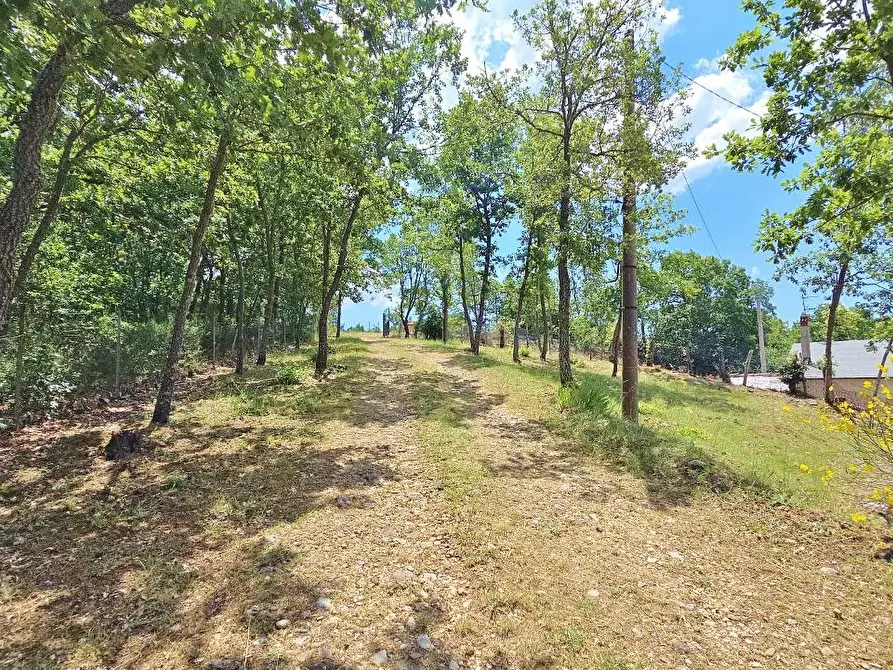 Immagine 15 di Villa in vendita  in Contrada Vallegrande a Sant'angelo Dei Lombardi