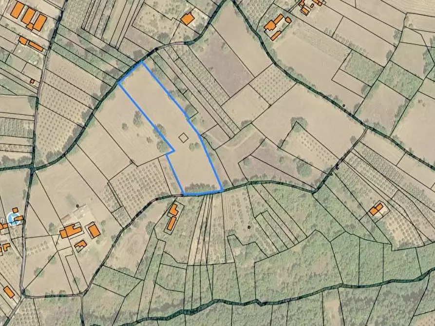 Immagine 1 di Terreno agricolo in vendita  in Contrada San Pietro a Grottaminarda