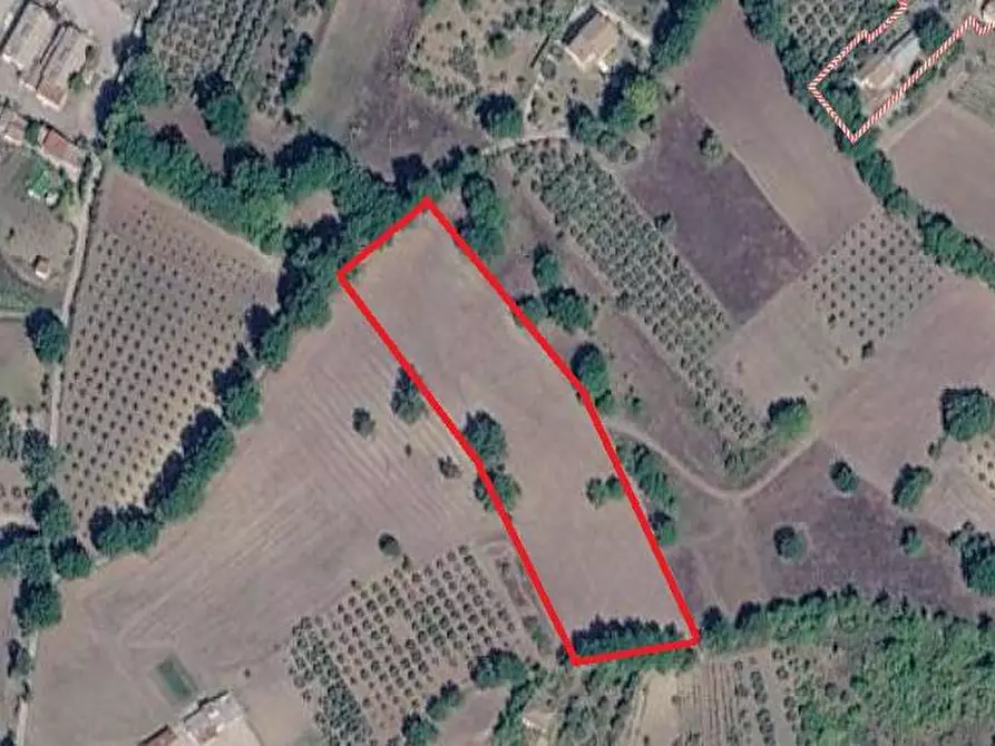 Immagine 2 di Terreno agricolo in vendita  in Contrada San Pietro a Grottaminarda
