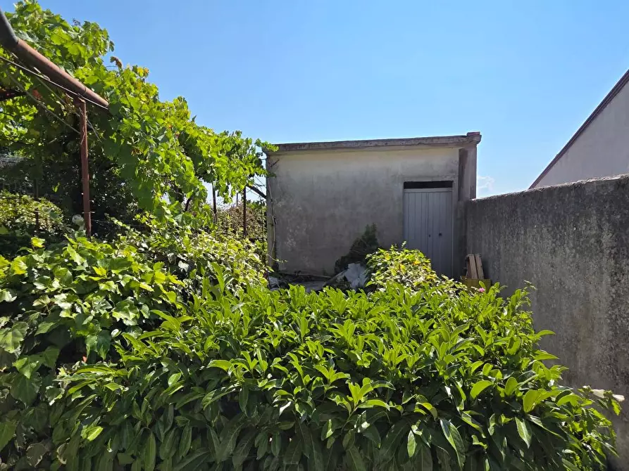 Immagine 14 di Casa semindipendente in vendita  in Via Roma 51 a Andretta
