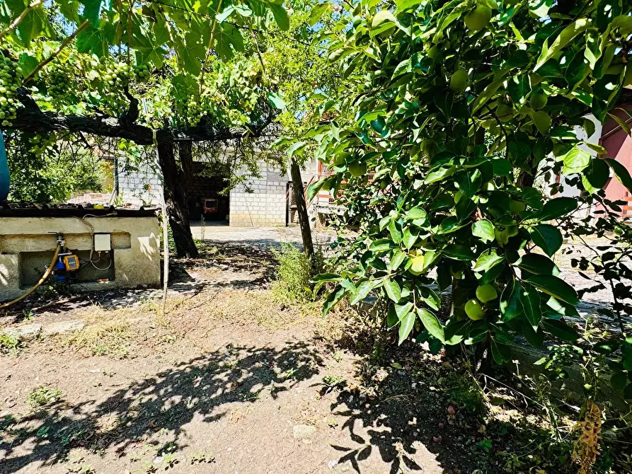 Immagine 19 di Villa in vendita  in VIA DEI MARTIRI a Greci