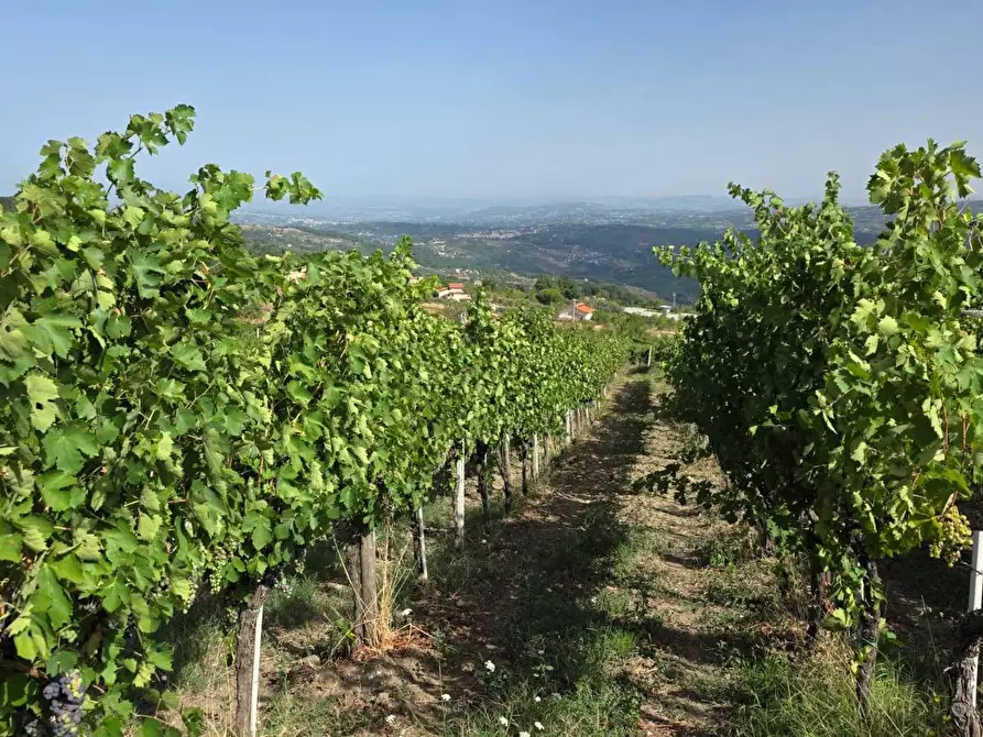 terreno in vendita ad Andretta