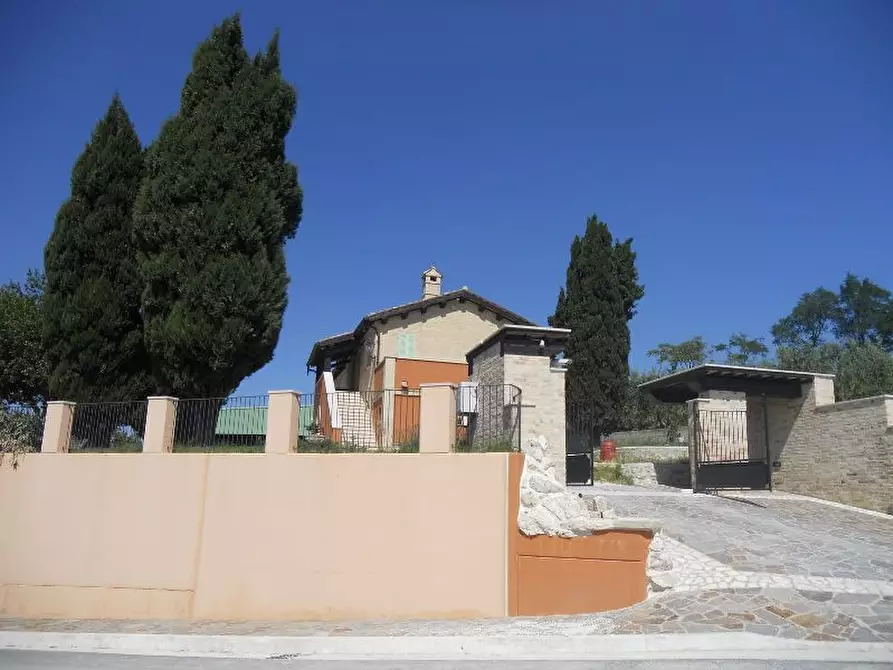 Immagine 3 di Rustico / casale in vendita  in offida a Offida