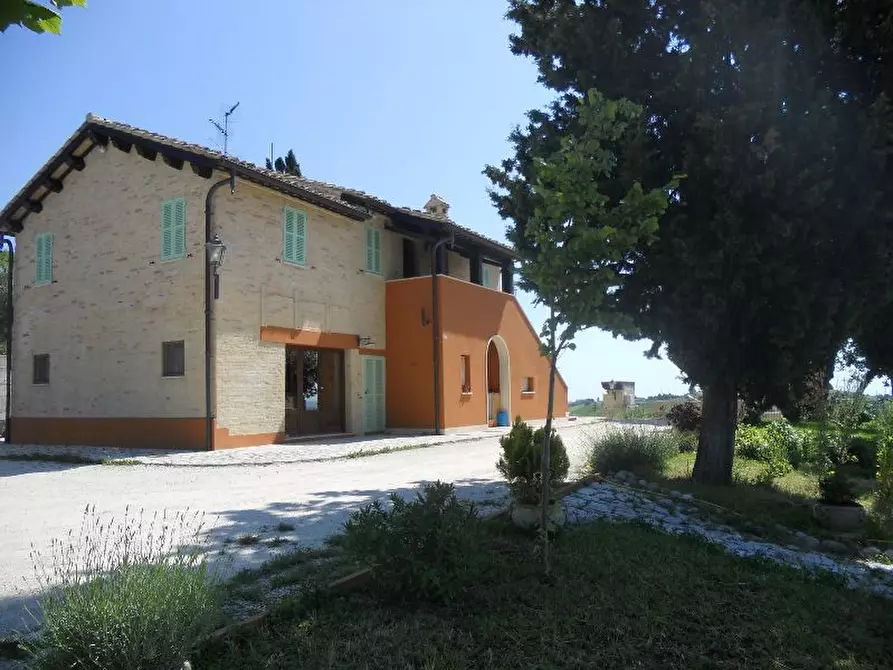 Immagine 8 di Rustico / casale in vendita  in offida a Offida