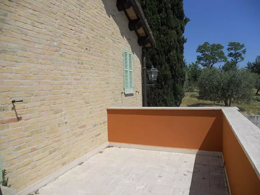 Immagine 21 di Rustico / casale in vendita  in offida a Offida