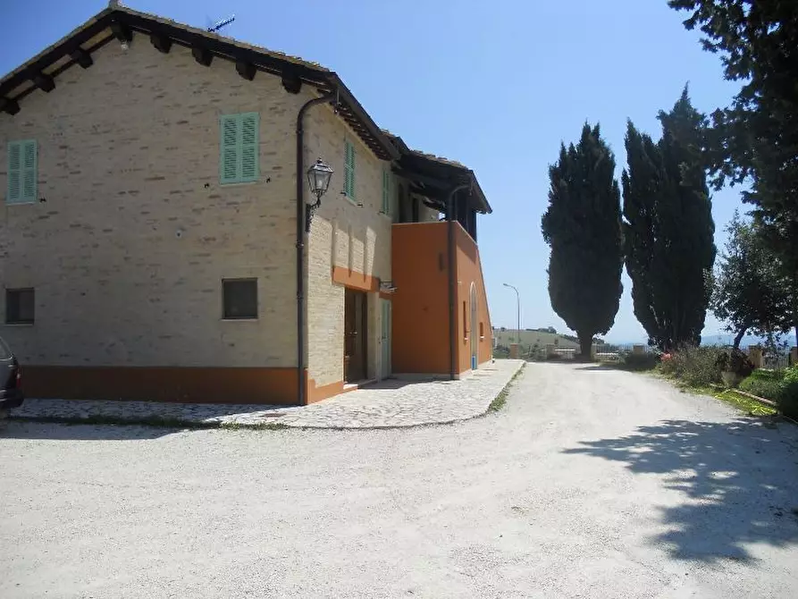 Immagine 15 di Rustico / casale in vendita  in offida a Offida