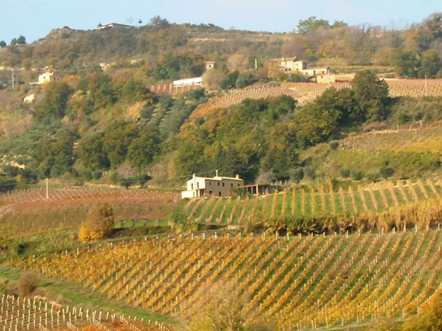Immagine 2 di Rustico / casale in vendita  a Ripatransone