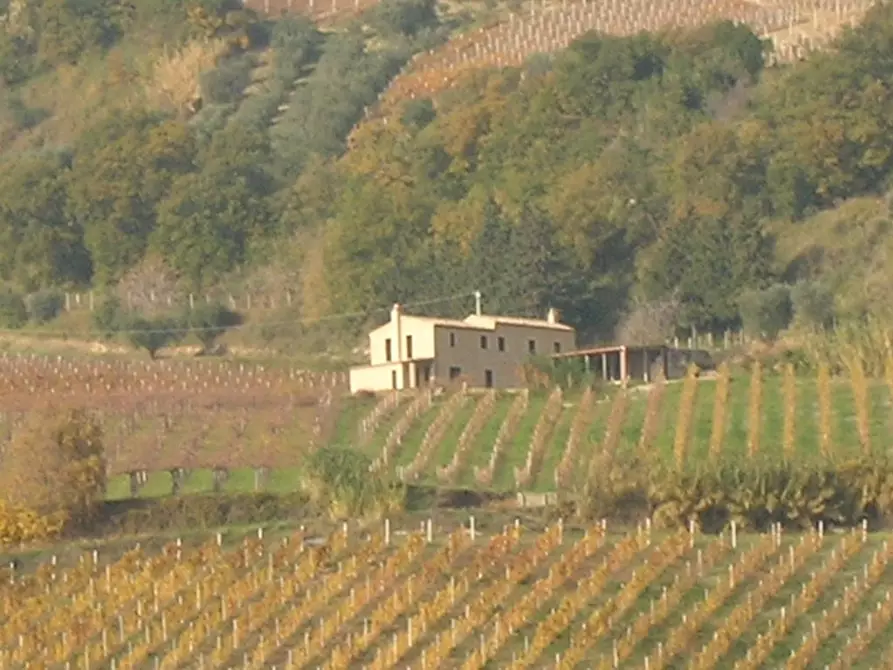 Immagine 3 di Rustico / casale in vendita  a Ripatransone