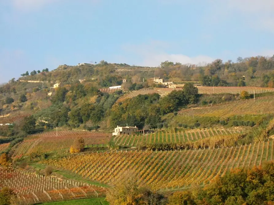 Immagine 21 di Rustico / casale in vendita  a Ripatransone