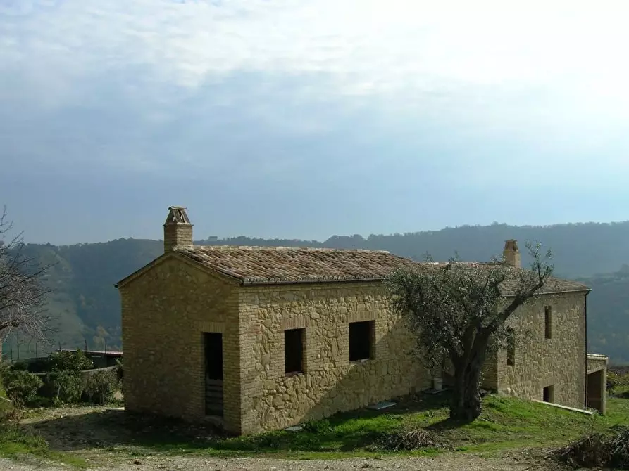 Immagine 4 di Rustico / casale in vendita  a Ripatransone