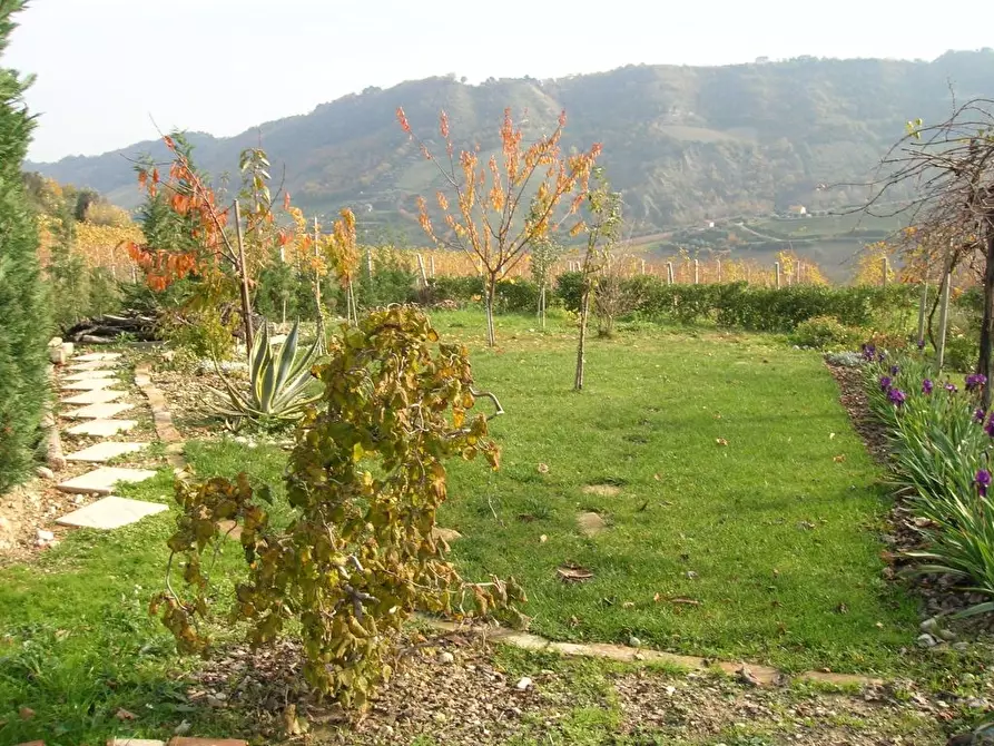 Immagine 8 di Rustico / casale in vendita  a Ripatransone