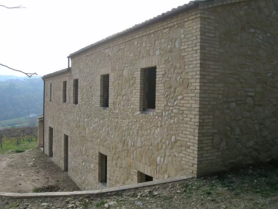 Immagine 6 di Rustico / casale in vendita  a Ripatransone