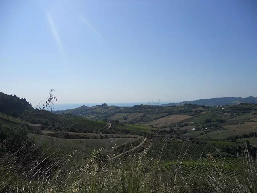 Immagine 2 di Rustico / casale in vendita  a San Benedetto Del Tronto