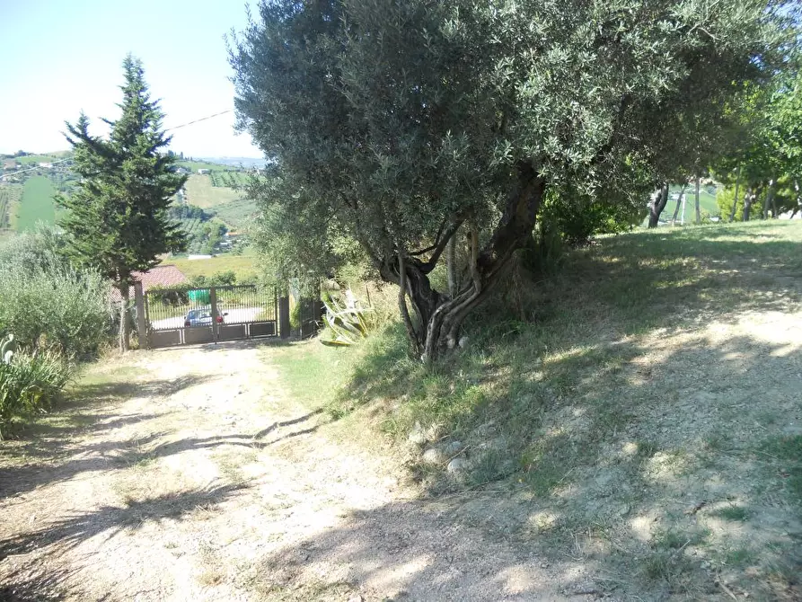 Immagine 22 di Rustico / casale in vendita  a San Benedetto Del Tronto