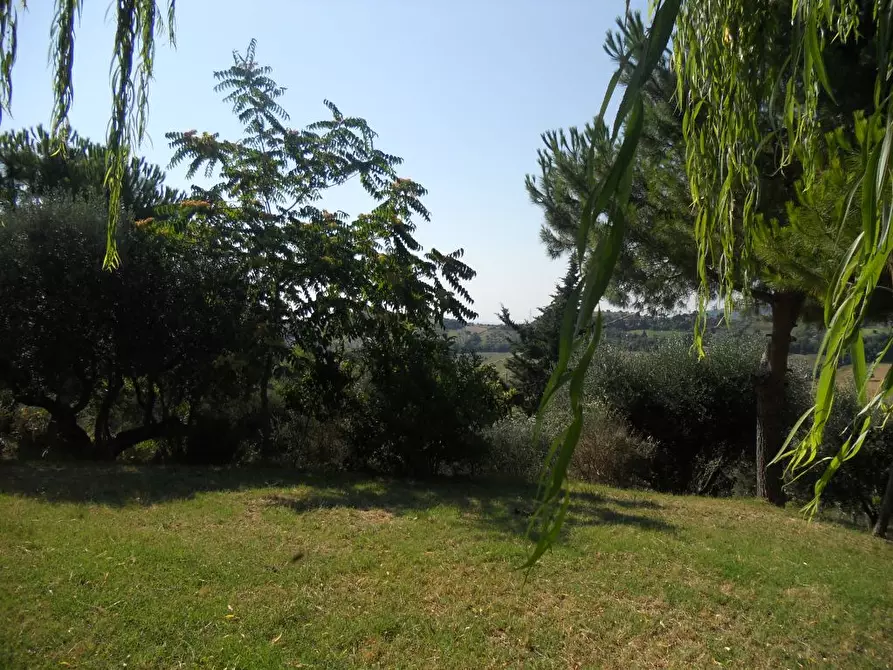 Immagine 18 di Rustico / casale in vendita  a San Benedetto Del Tronto