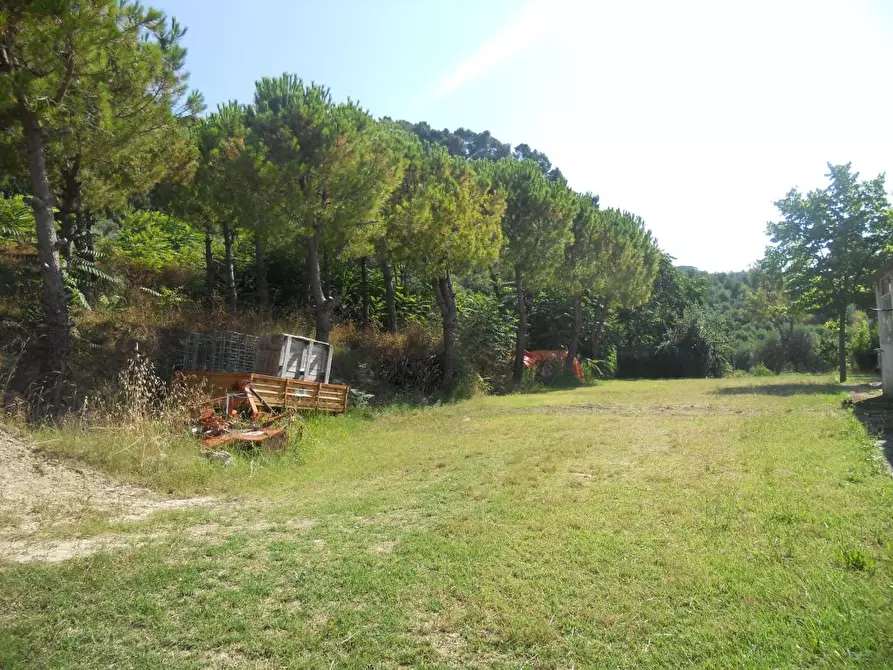 Immagine 19 di Rustico / casale in vendita  a San Benedetto Del Tronto
