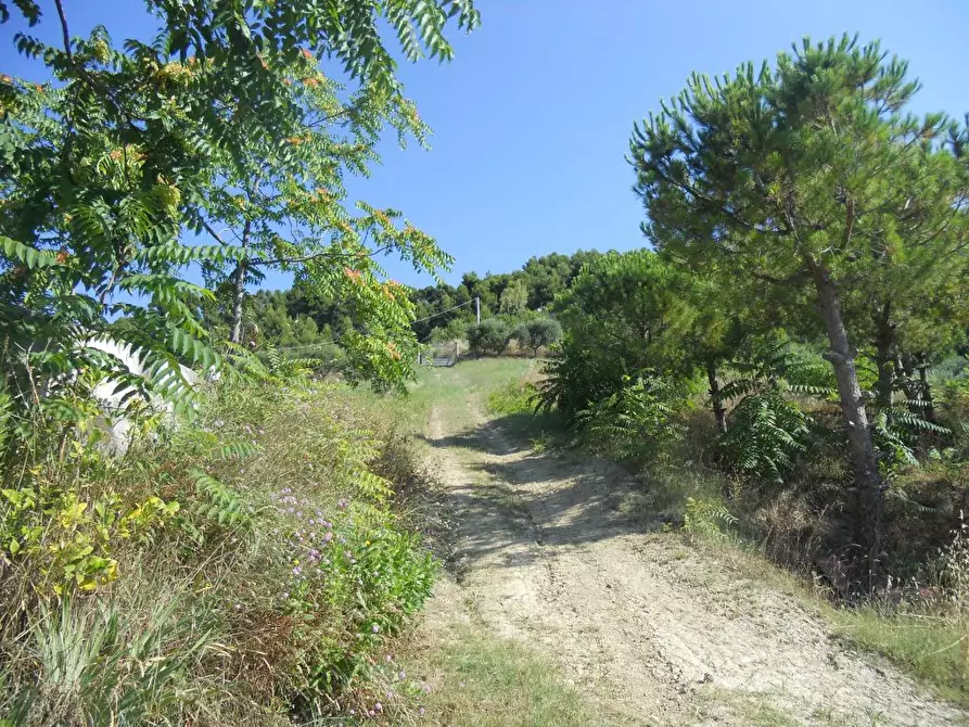 Immagine 23 di Rustico / casale in vendita  a San Benedetto Del Tronto