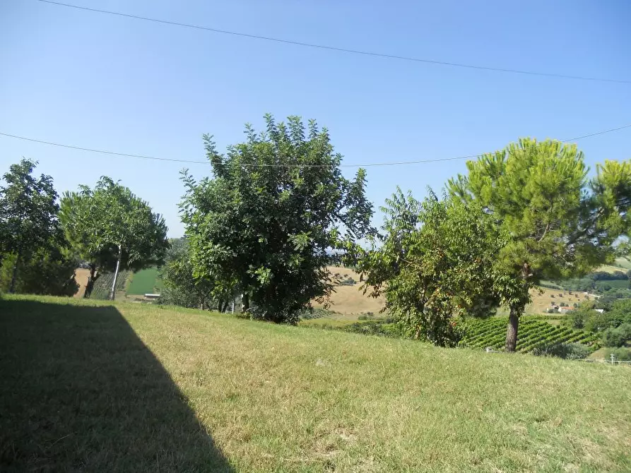 Immagine 13 di Rustico / casale in vendita  a San Benedetto Del Tronto