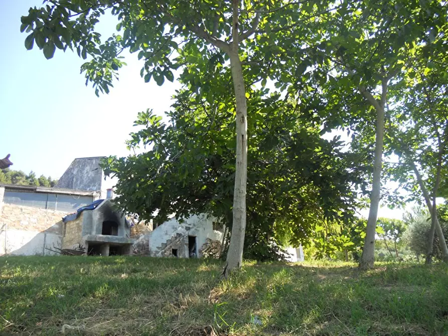 Immagine 7 di Rustico / casale in vendita  a San Benedetto Del Tronto