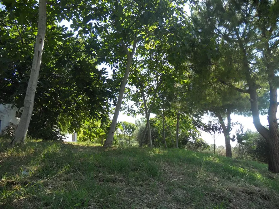 Immagine 24 di Rustico / casale in vendita  a San Benedetto Del Tronto