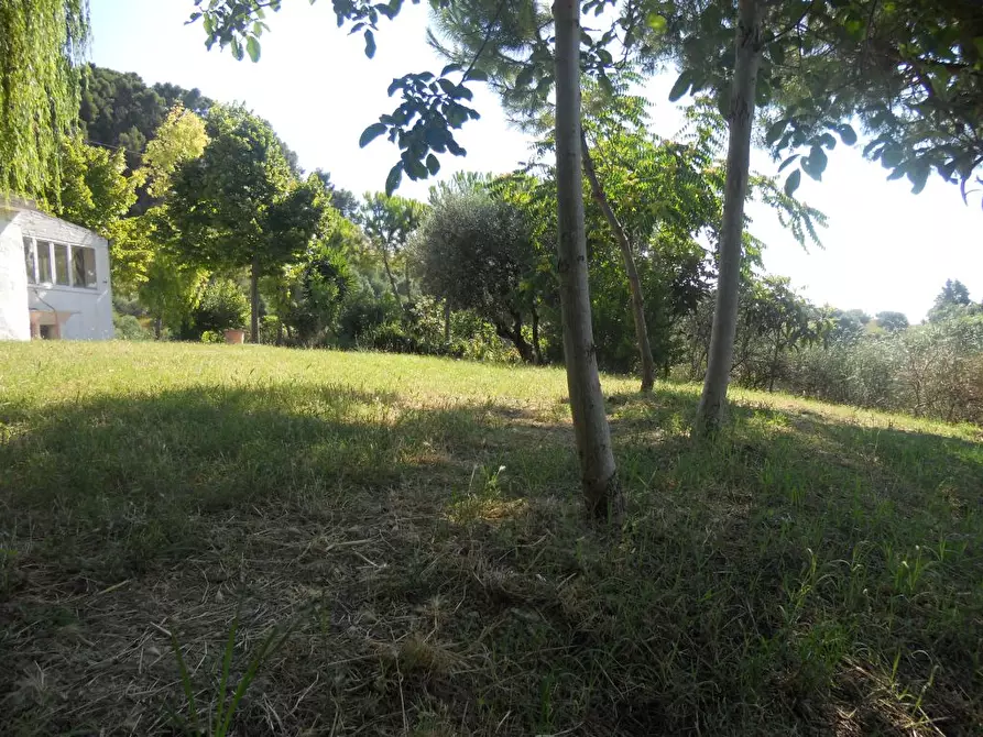 Immagine 15 di Rustico / casale in vendita  a San Benedetto Del Tronto