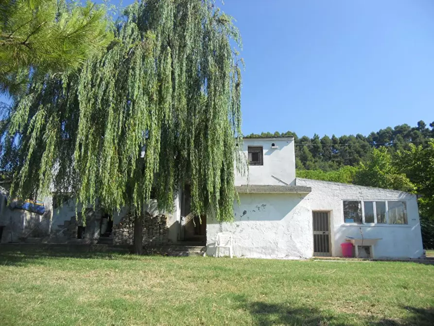 Immagine 16 di Rustico / casale in vendita  a San Benedetto Del Tronto