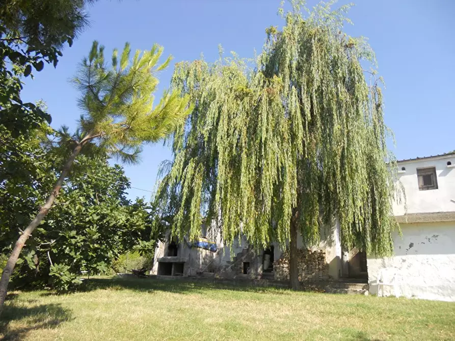 Immagine 17 di Rustico / casale in vendita  a San Benedetto Del Tronto