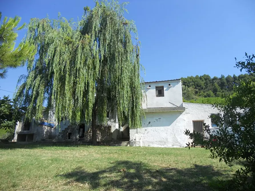 Immagine 8 di Rustico / casale in vendita  a San Benedetto Del Tronto
