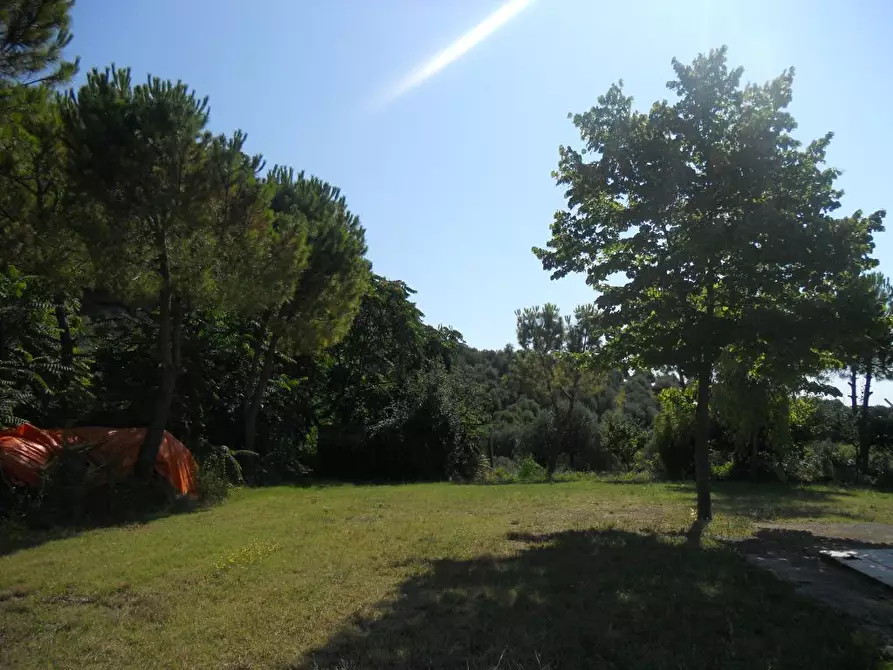 Immagine 34 di Rustico / casale in vendita  a San Benedetto Del Tronto