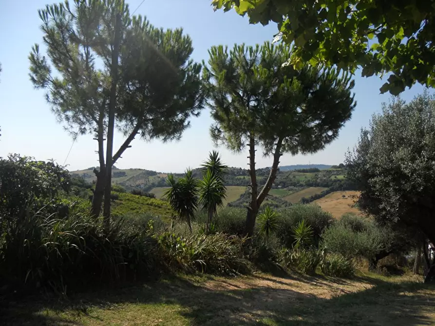 Immagine 25 di Rustico / casale in vendita  a San Benedetto Del Tronto