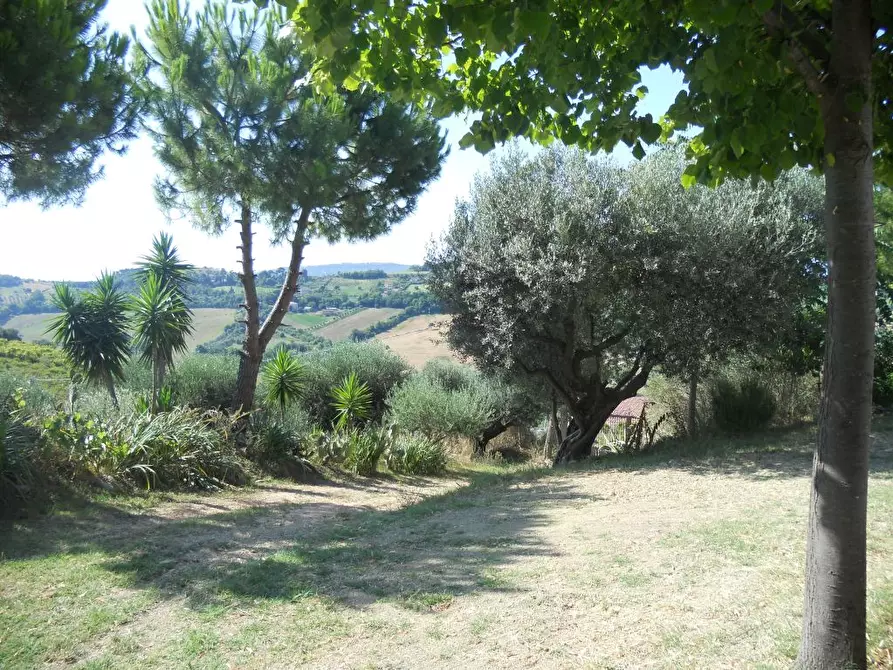 Immagine 21 di Rustico / casale in vendita  a San Benedetto Del Tronto