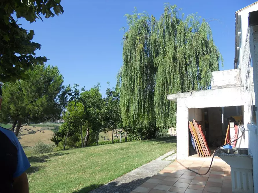 Immagine 11 di Rustico / casale in vendita  a San Benedetto Del Tronto