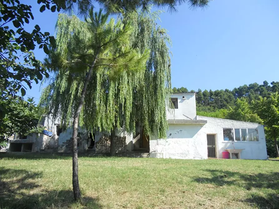 Immagine 9 di Rustico / casale in vendita  a San Benedetto Del Tronto